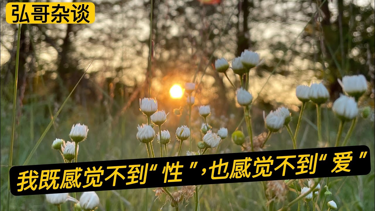 “ 无性婚姻 “ 大家怎么看？ 一位中年女人的纠结，既感觉不到 ”性“，也感觉不到”爱“。