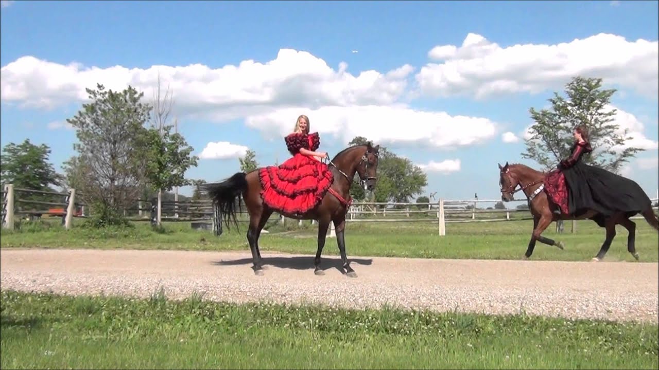 QUIBOM Lusitano Mario A  Contreras