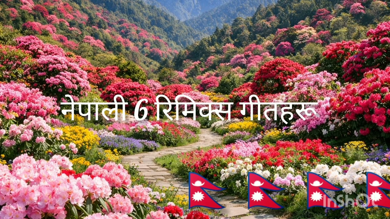 नेपाली धेरै राम्रा गीतहरू 6 top remix गीत