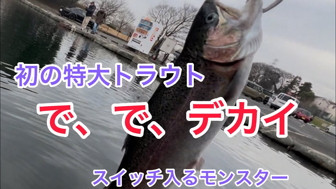 きたぁ男のロマン!!モンスタートラウト