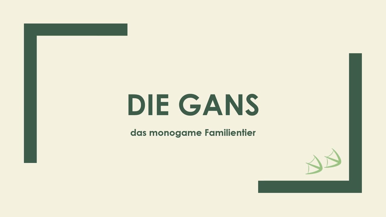 Die Gans einfach und kurz erklärt