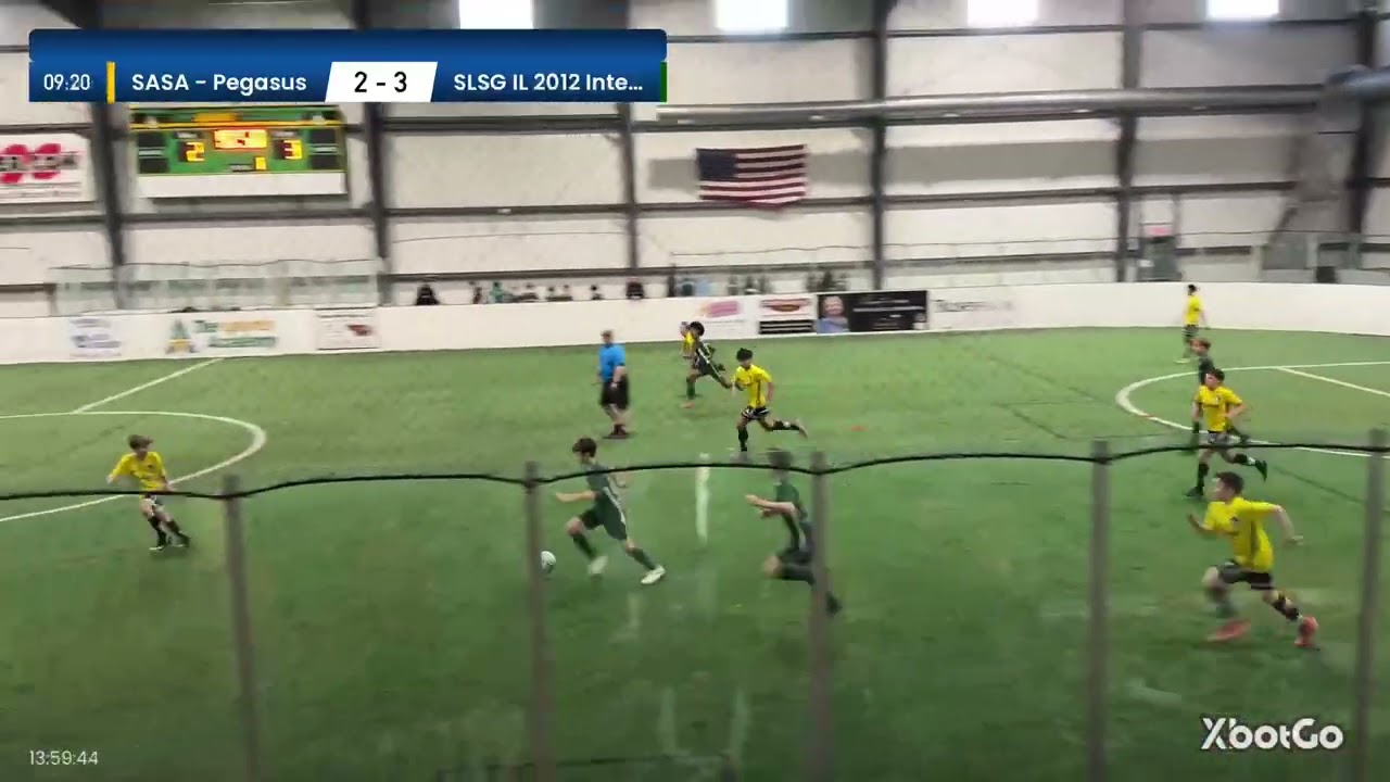 SLSG vs. SASA