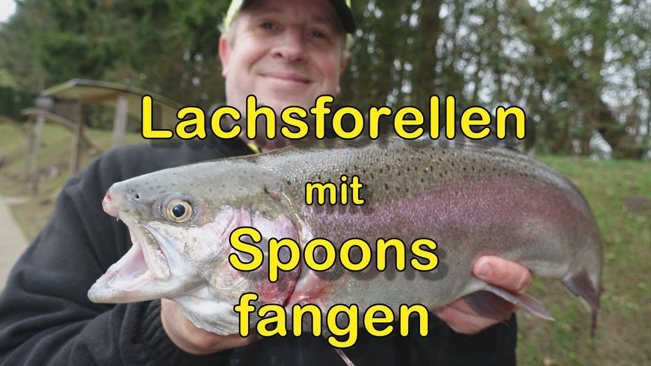 So fängt man Lachsforellen mit Spoons
