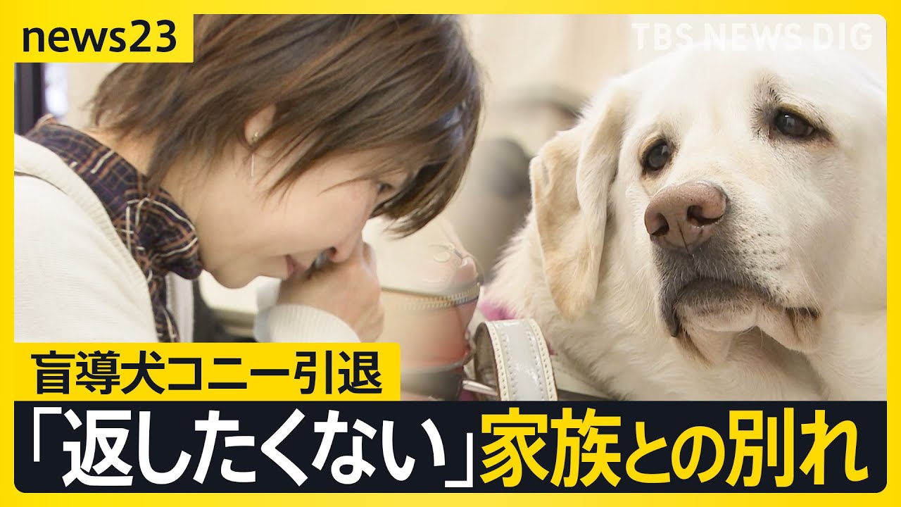 【盲導犬コニー引退】8年過ごした家族との別れ、そして新たな出会い 「ずっと大好きだよ」引退式で家族が贈った最後のメッセージ【news23】｜TBS NEWS DIG