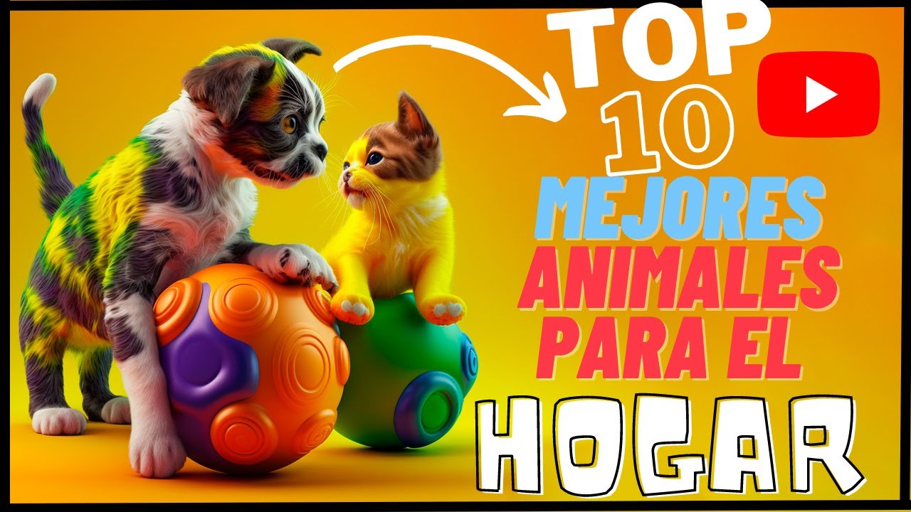 TOP 10 Mejores ANIMALES de compa&ntilde;ia del mundo para tu hogar SORPRENDETE !!!