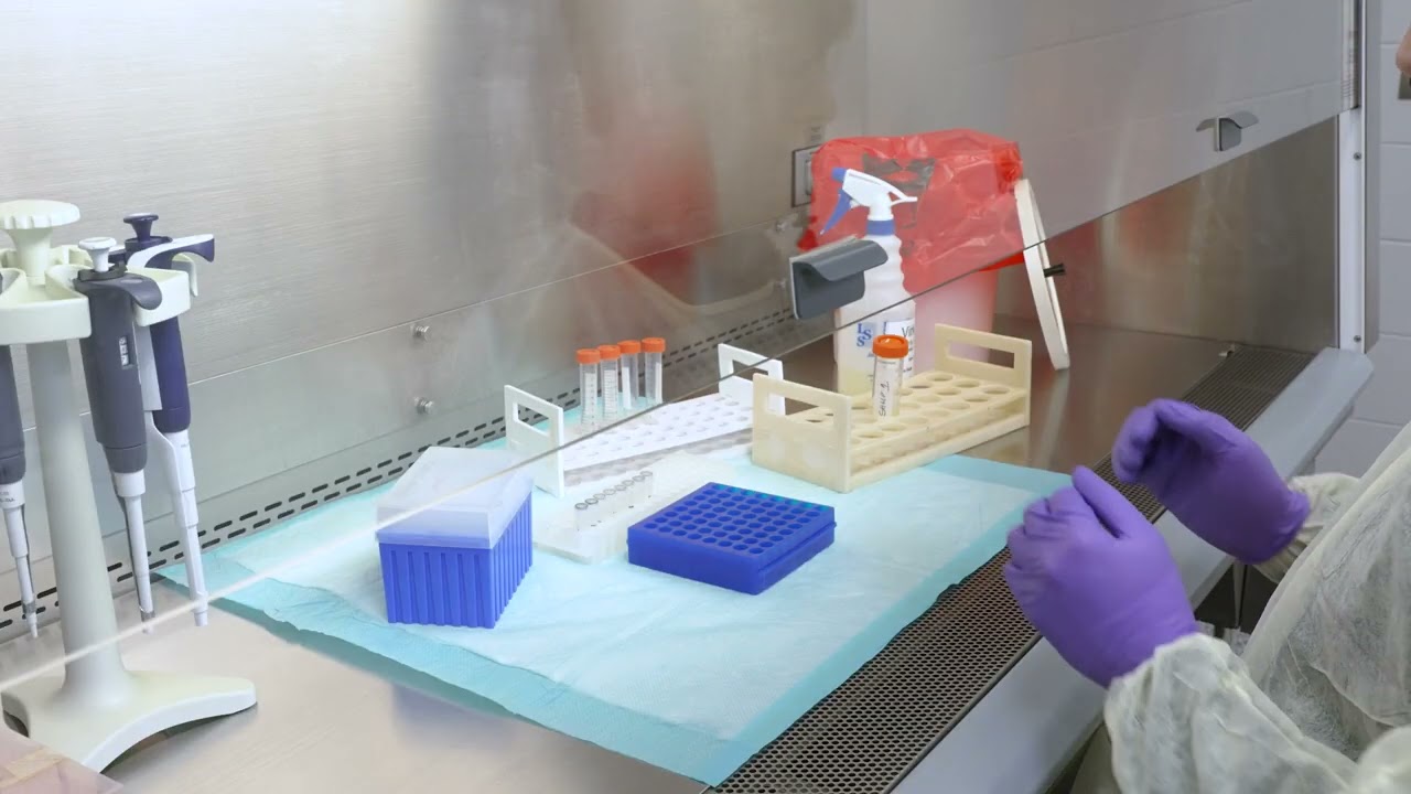 Working Safely in your Class II, Type A2 Biosafety Cabinet