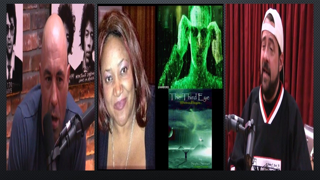 Joe Rogan & Kevin Smith on Sophia Stewart who wrote the Matrix
