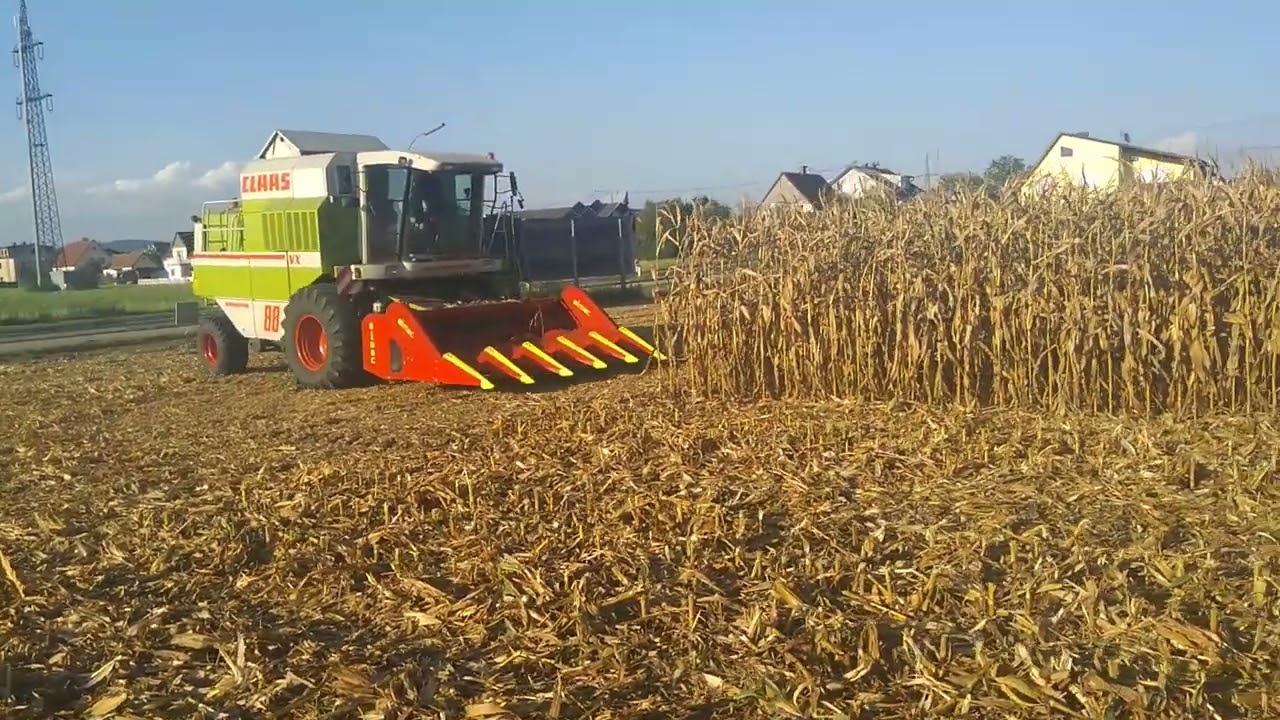 Claas Dominator 88 VX, Maisernte Olimac Drago