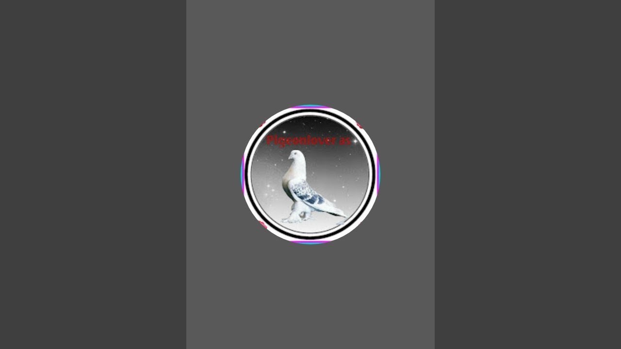 App sabhi ka meri live  ma welcome hai😊