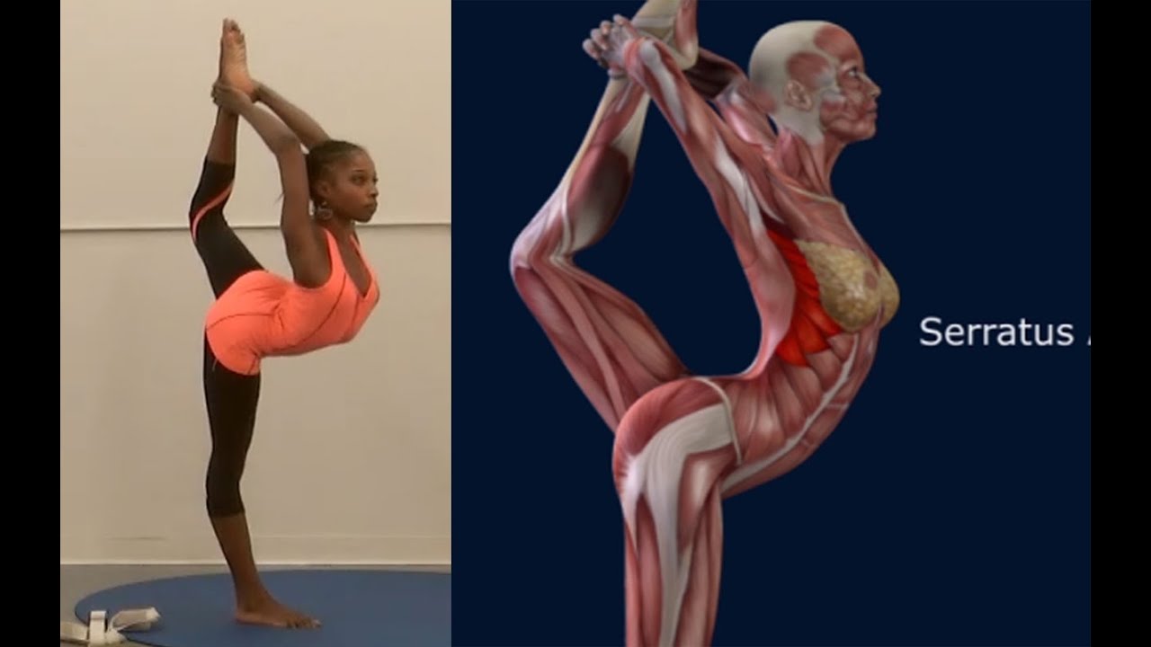 How To Cheerleading Scorpion Muscle Anatomy Stretches EasyFlexibility