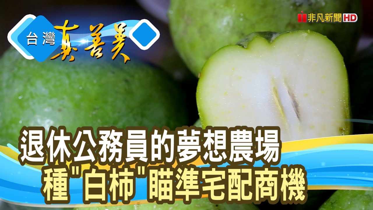 甜而不膩的“冰淇淋果”｜東東生態農場｜【台灣真善美】2022.07.10