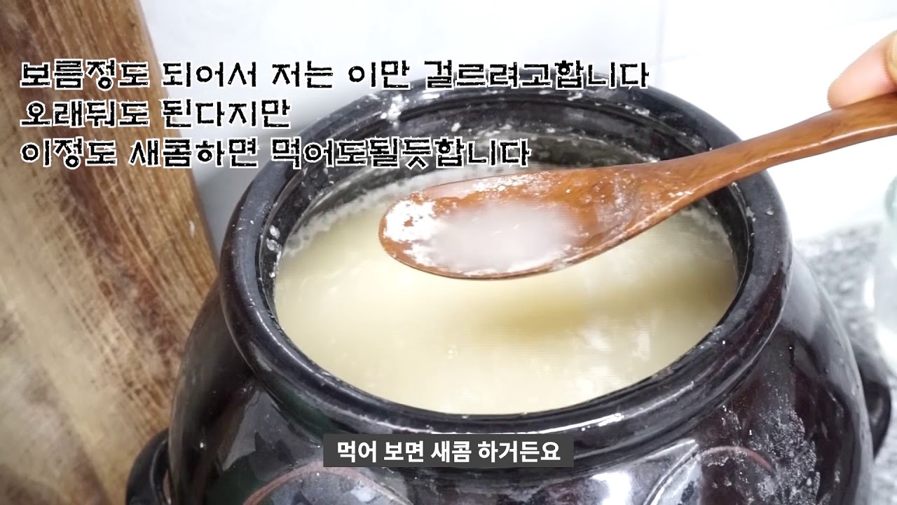 #막걸리식초만들기#종초없이가능        장까지 살아가는 유산균/NO알콜 막걸리식초*MAKGEOLLY VINEGAR[상어이모.SANGEOIMO]