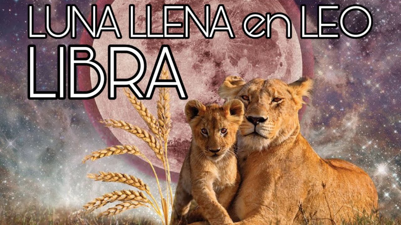 LIBRA ♎️ LUNA LLENA EN LEO 2-1-2026…WOW!!!…CONECTA CON TU CORAZÓN Y SIGUE ESE CAMINO!!!…➡️➡️➡️🧡