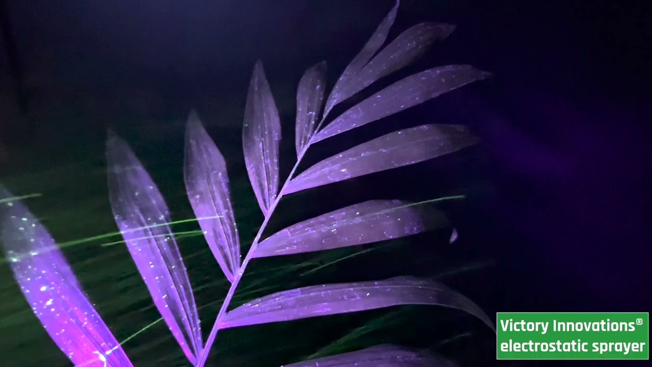 Victory Innovations Blacklight Comparison