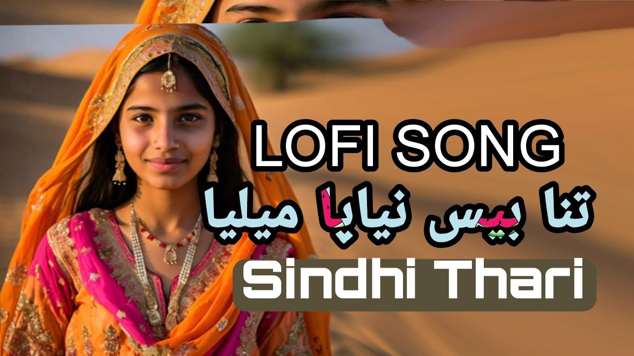 Fozia Soomro Lofi Song | Tina Bees Niyapa Melya Men | New Slowed Reverb Song