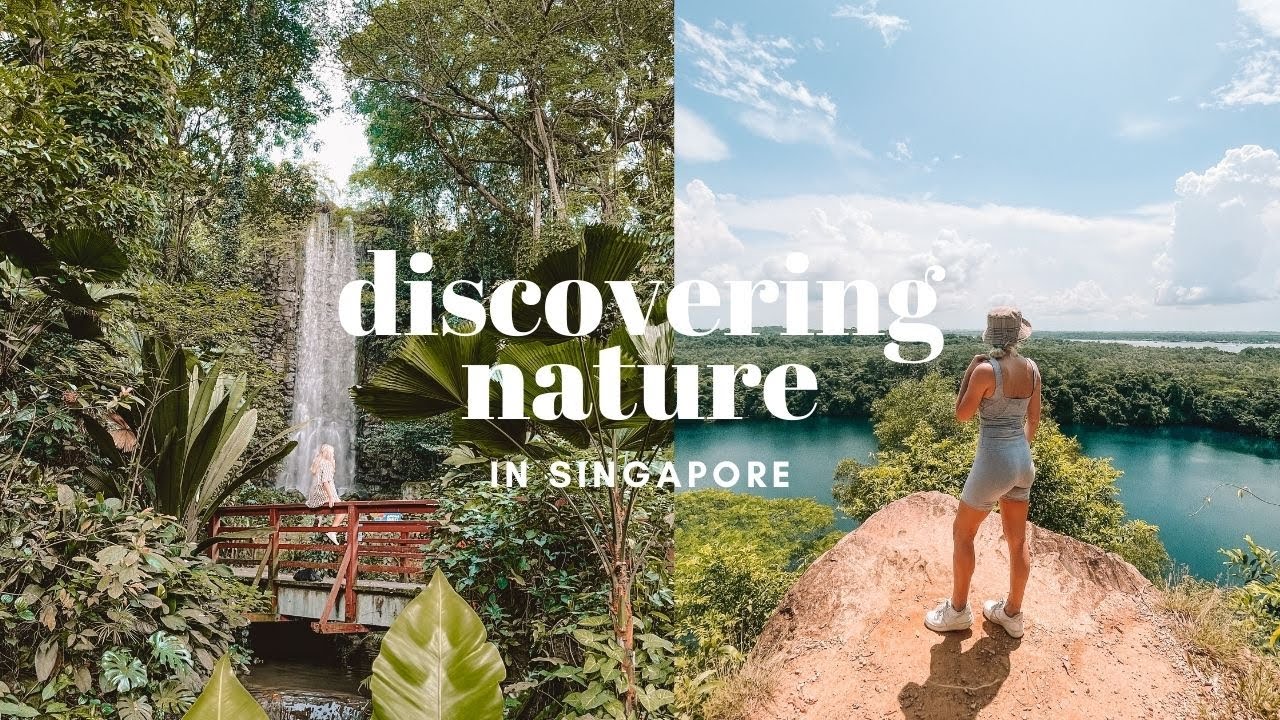 A breath of fresh air in Singapore! 🌿 Exploring Pulau Ubin & Jurong bird Park