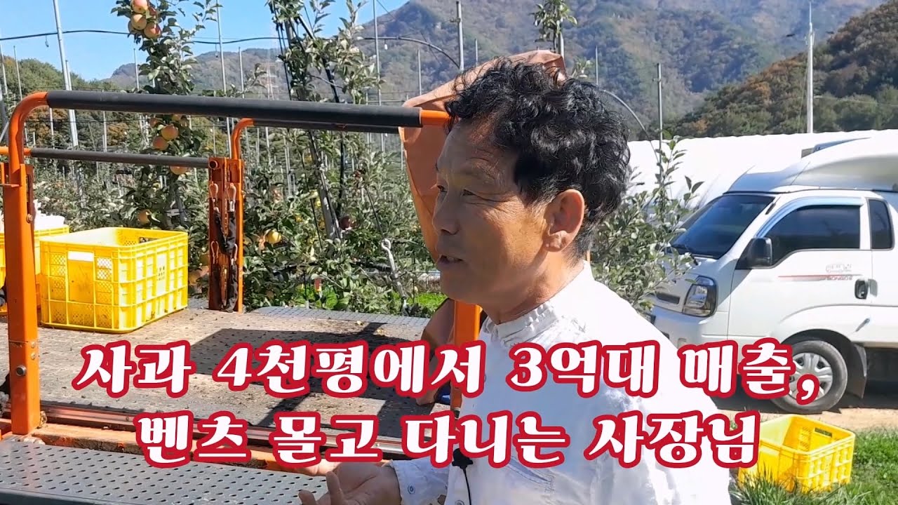 사과 4천평에서 3억대 매출, 벤츠 몰고 다니는 사장님
