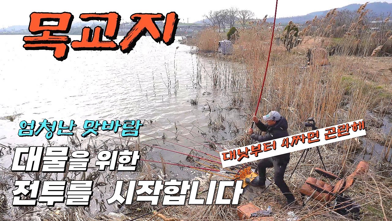 꾼들로 가득찬 한방터 //남들이 버린 수심 55cm포인트// 대낮부터 물어대는// 아~무도 못하는걸 제가 결국 해내#big fishing