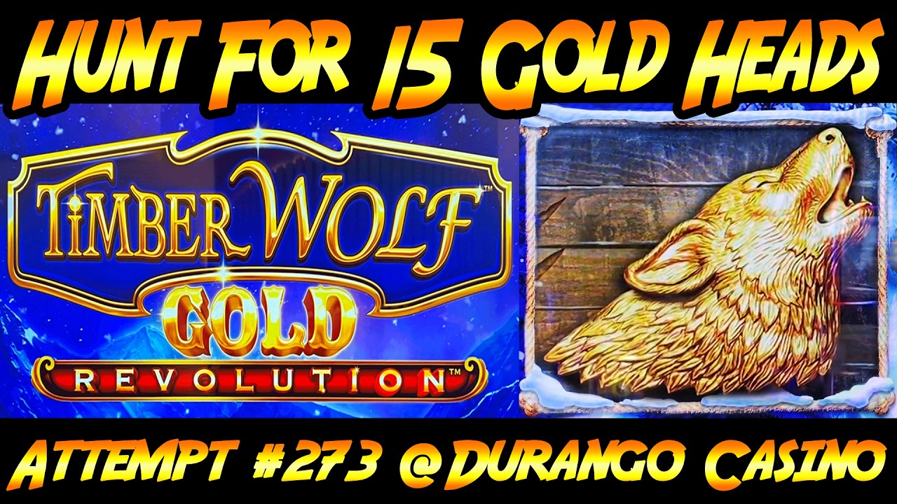 Hunt For 15 Gold Heads!  Ep. #273, Timber Wolf Gold Revolution - I'm a Glutton for Punishment!
