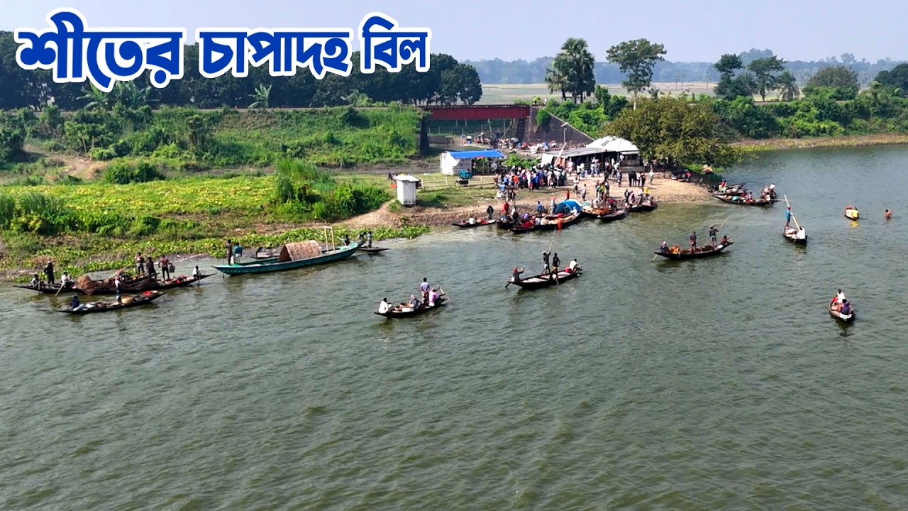 শীতের স্নিগ্ধতায় ফরিদপুরের বিখ্যাত চাপাদহ বিল || Panorama Documentary