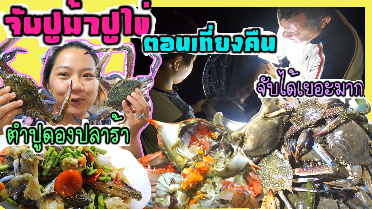 EP.168 สามีตุรกีชวนไปจับปูม้าและปูไข่ตอนเที่ยงคืน แปปเดียวจับได้เยอะมากๆ ไข่แน่นสุดๆ เอามาทำเมนูเด็ด