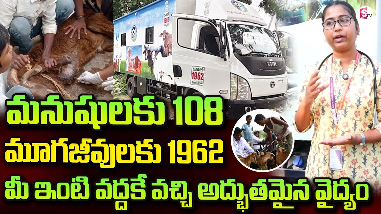 Free Doorstep Treatment for Animals Through 1962 Service | SumanTV Kurnool