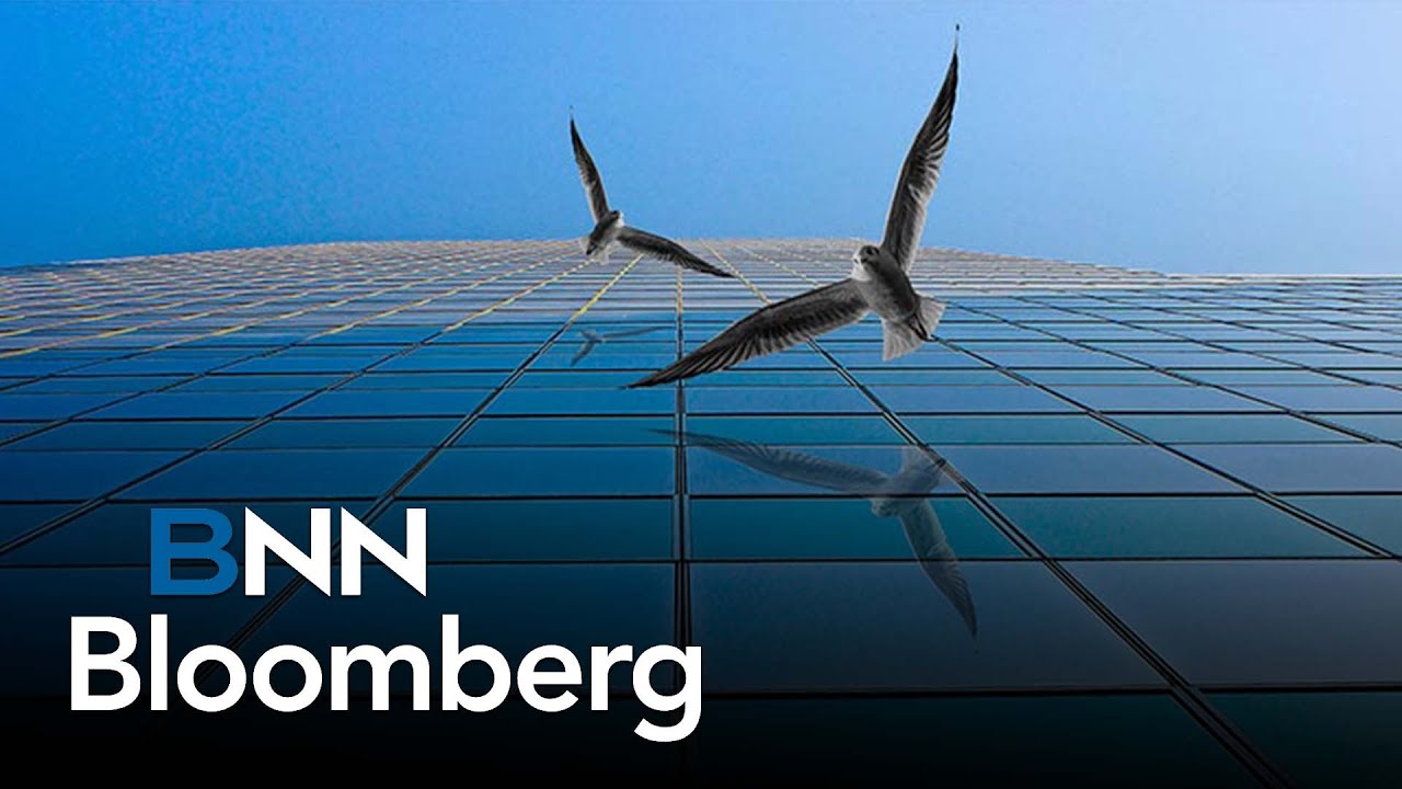 Manufacturing bird-safe glass
