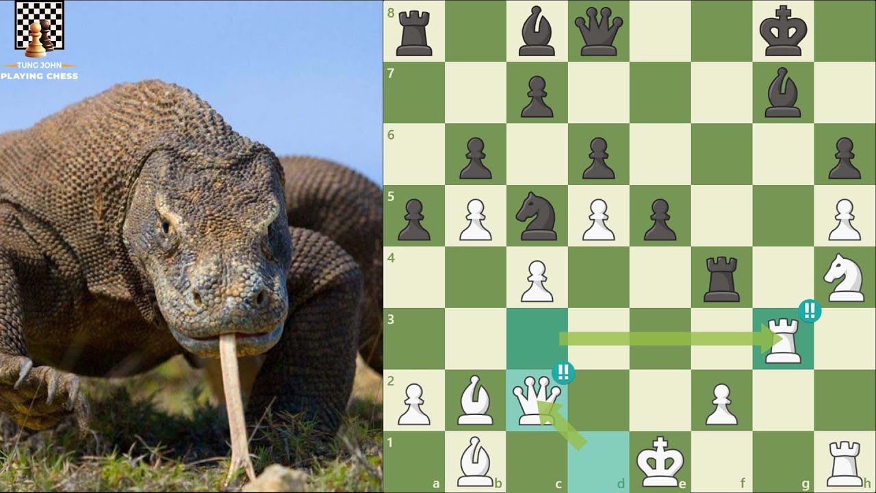 Phiên Bản Mới Có Sức Mạnh Vượt Trội, Komodo Dragon Quyết Làm Gỏi Cá Khô Stockfish Và Cái Kết...