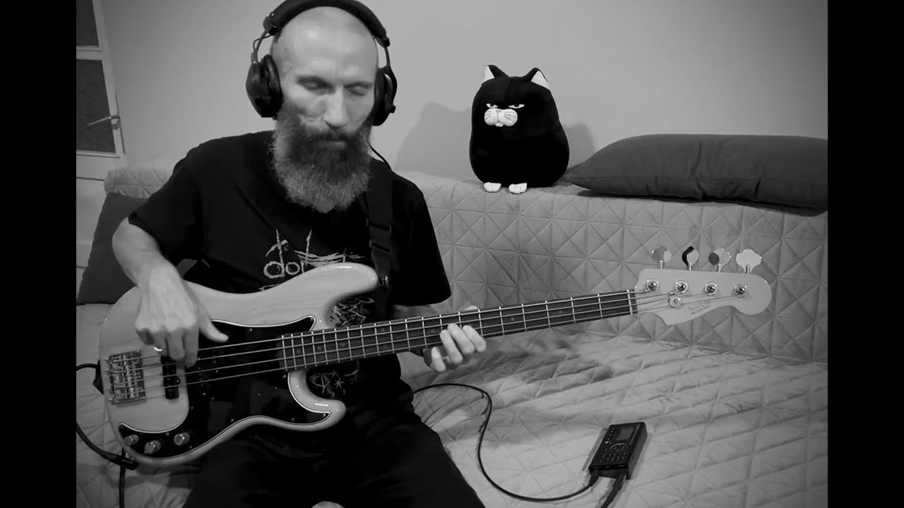 Dordeduh - Vraci de Nord (extended version) (bass playthrough)