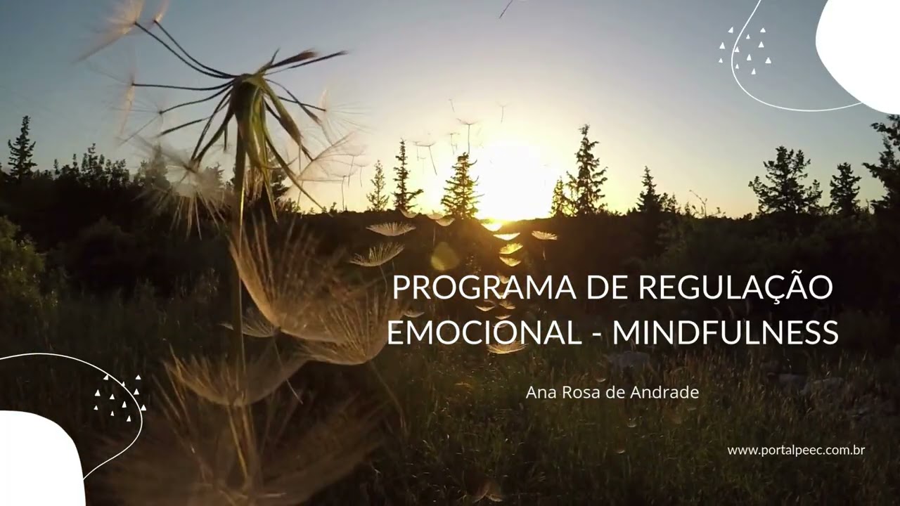 PROGRAMA DE REGULAÇÃO EMOCIONAL   MINDFULNESS (7)– PAZ INTERIOR