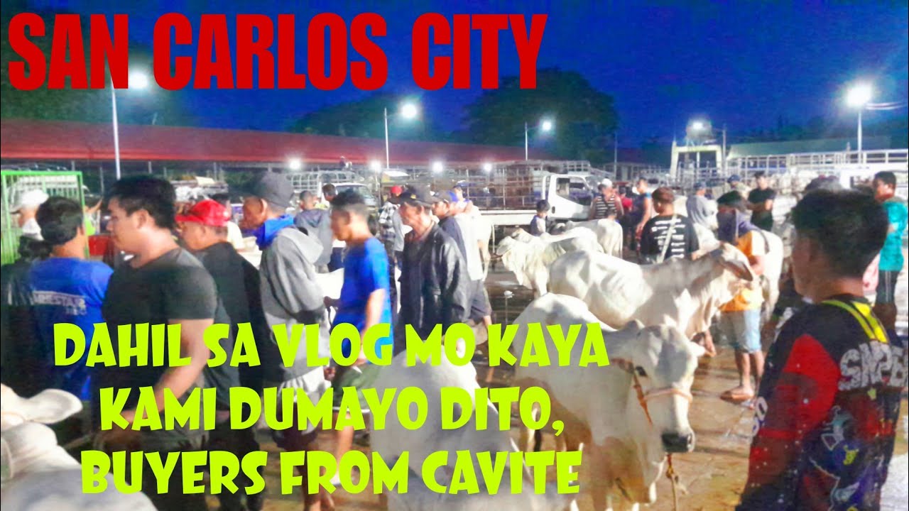 June 08, 2024 Update  Presyo ng Baka sa San Carlos Livestock Market in Pangasinan #livestockmarket