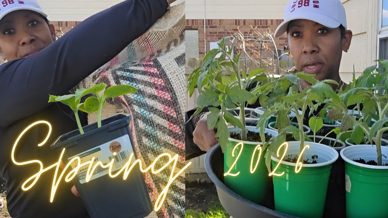 Preparing the Garden for Spring 🌱 | Cleaning Beds, Hardening Off Seedlings & Planting Prep