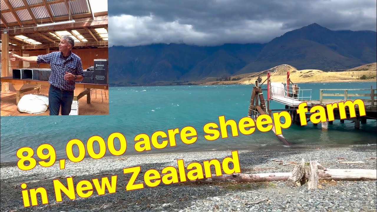 Travel by a Steamer across a lake to an 89,000 sheep & cattle farm in New Zealand 