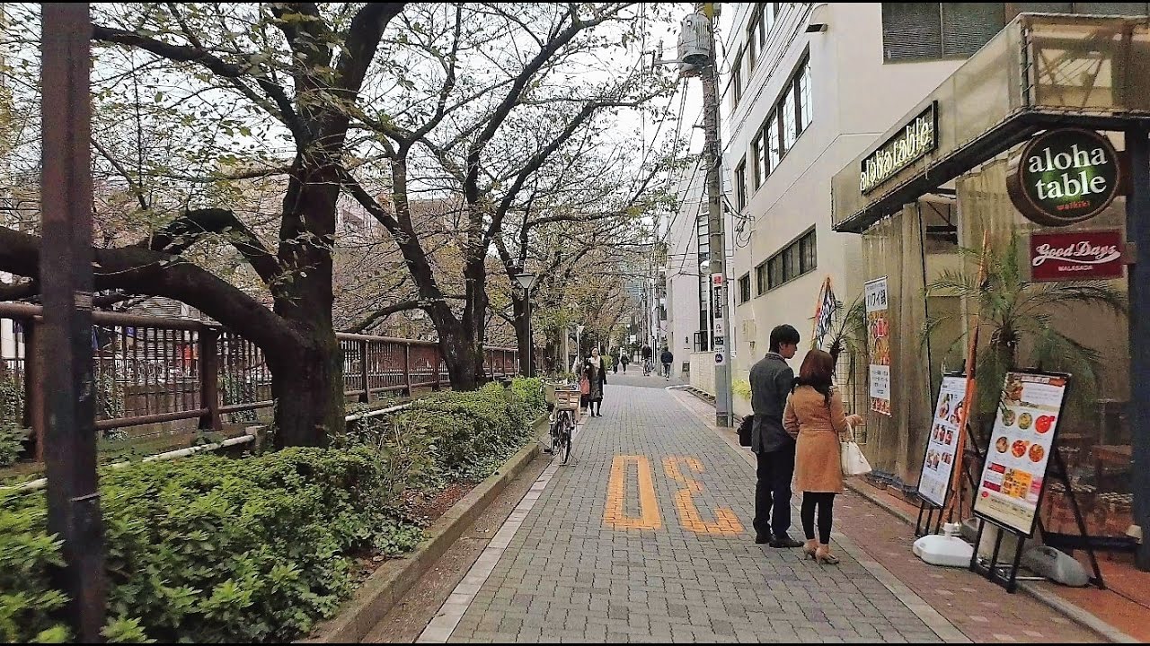 Nakameguro to Shibuya on foot - Long Take【東京・中目黒/渋谷】 4K