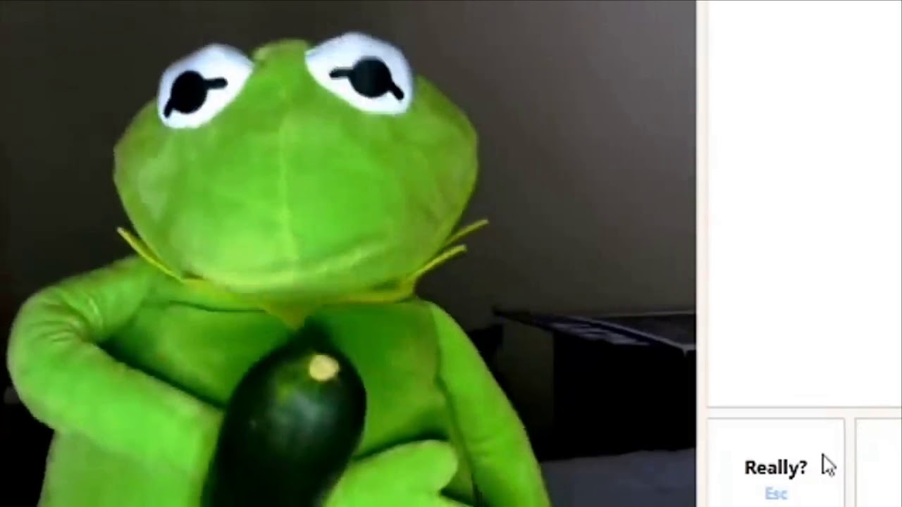 Kermit Whips it out on Omegle at School Meme