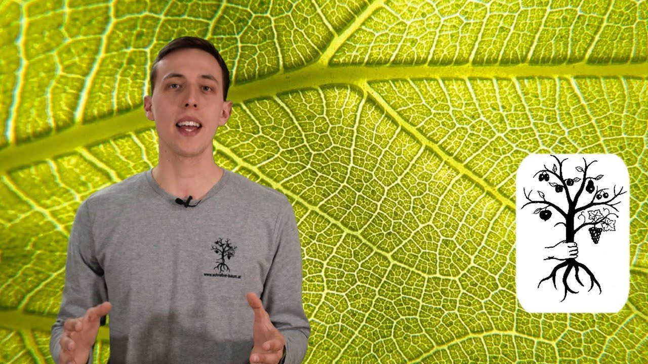 Bauern sind die Klimal&ouml;sung! CO2 speichern durch Humusaufbau
