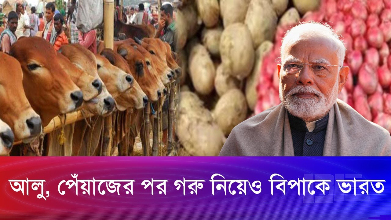 বাংলাদেশকে ই'ট মেরে বারবার পা'ট'কে'ল খাচ্ছে ভারত! | Bangla Edition