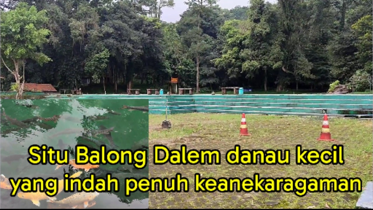 Situ Balong Dalem di Desa Babakan Mulya merupakan sebuah danau kecil yang indah penuh keanekaragaman