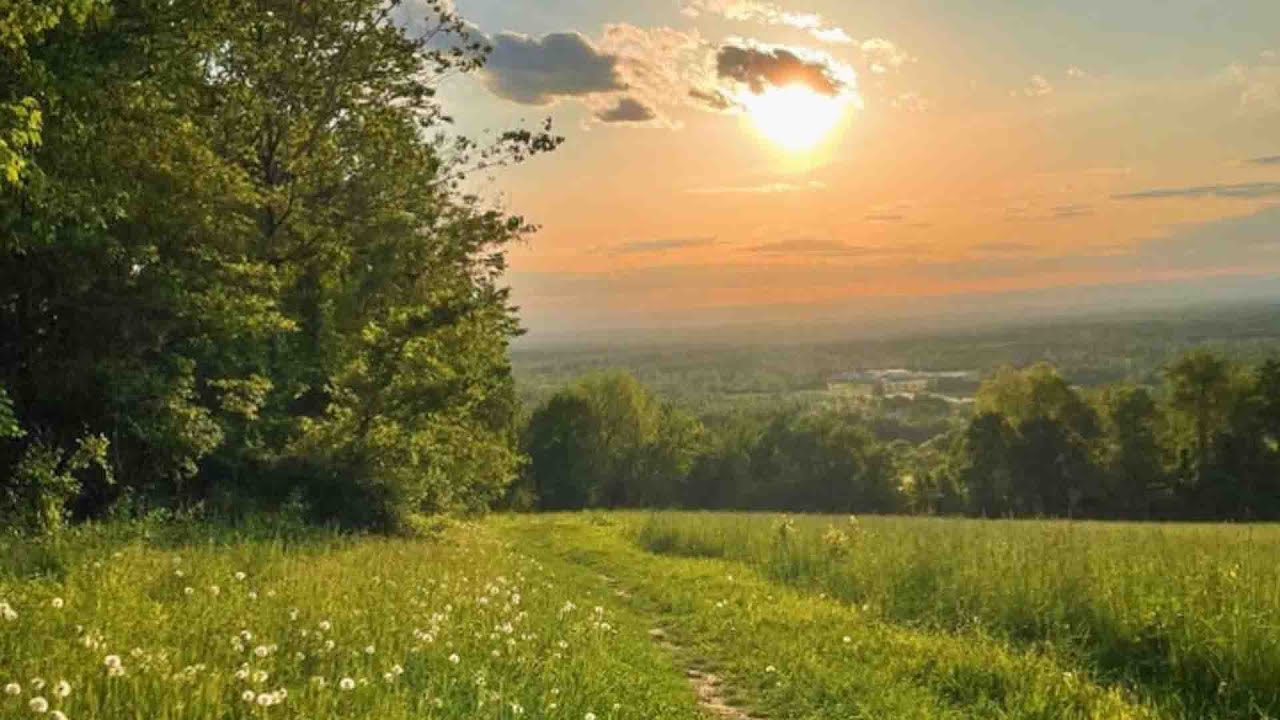 a quiet playlist for a slow life ☘️(reading, writing & studying)