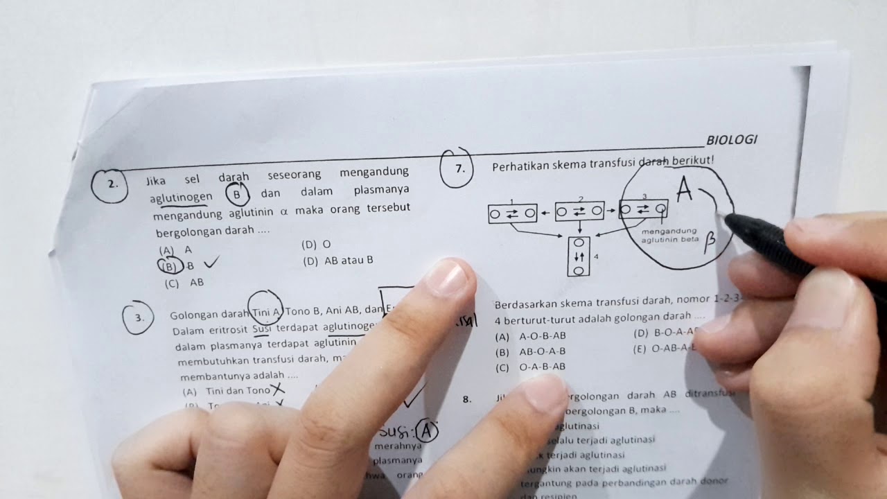 Soal Transfusi Darah : Aglutinasi, Donor, Resipien