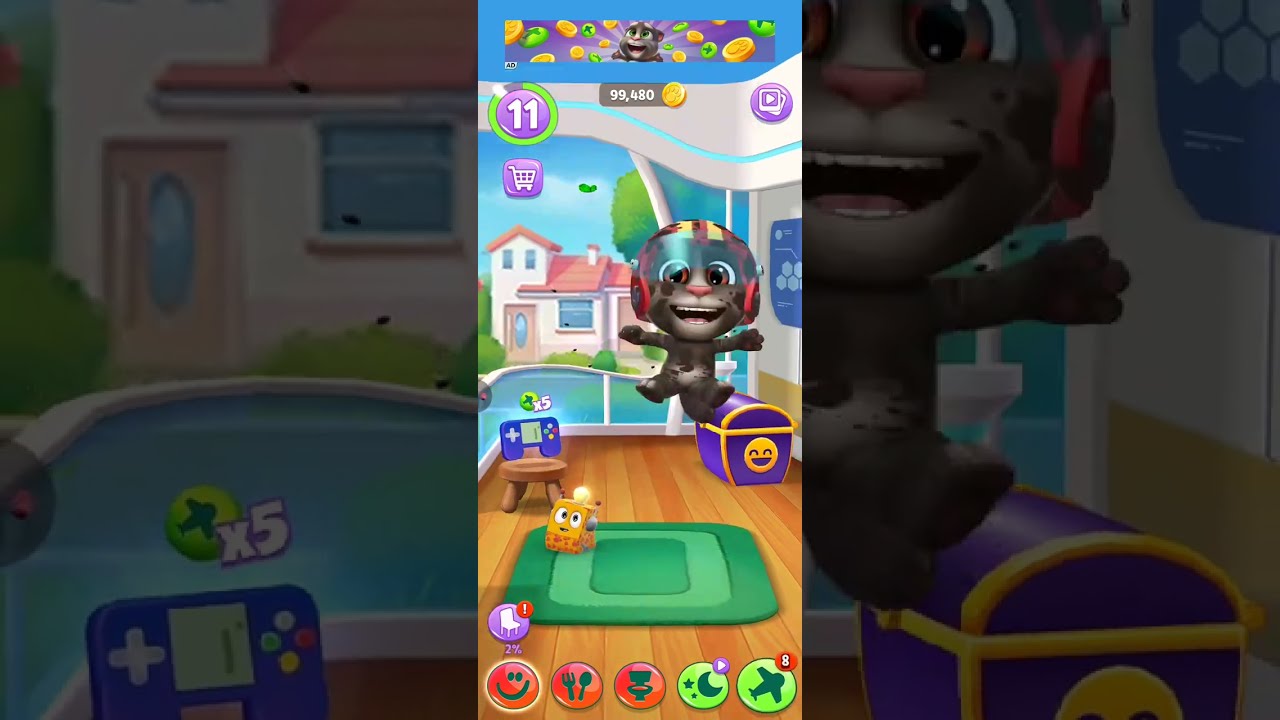 Tom and Tom's pet very  good patner 