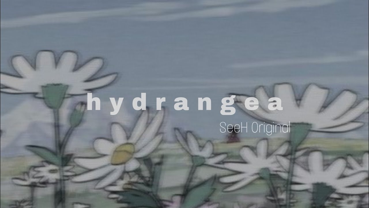 【SeeH】hydrangea [Lofi]