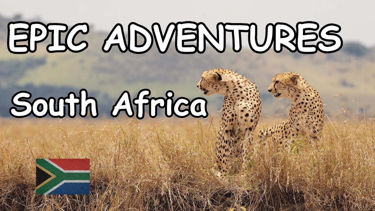 Unforgettable South Africa Travel Adventures You Can't Miss