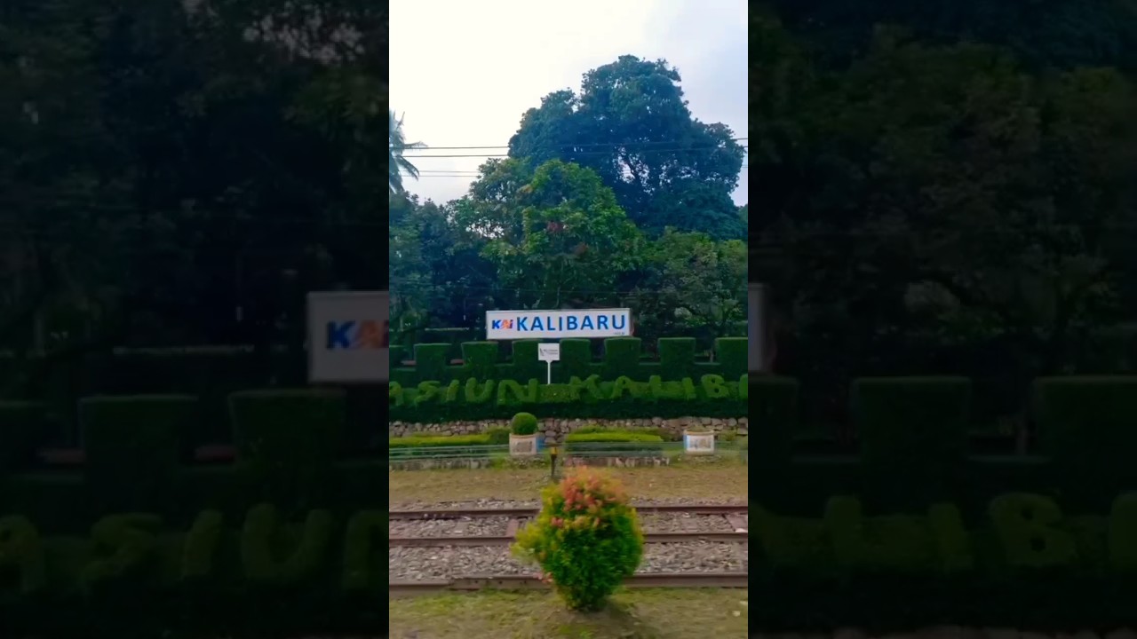 Pemandangan di stasiun kalibaru #keretaapi #pandanwangi #stasiun #kalibaru #banyuwangi