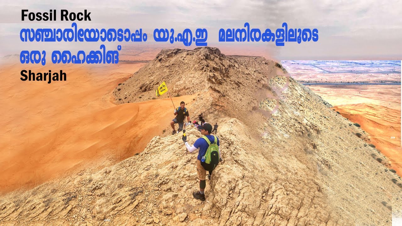 #hikinguae|BEST HIKING SPOT FOR BEGINNERS | FOSSIL ROCK | TAKE A HIKE WITH TEAM SANCHARI UAE TEAM