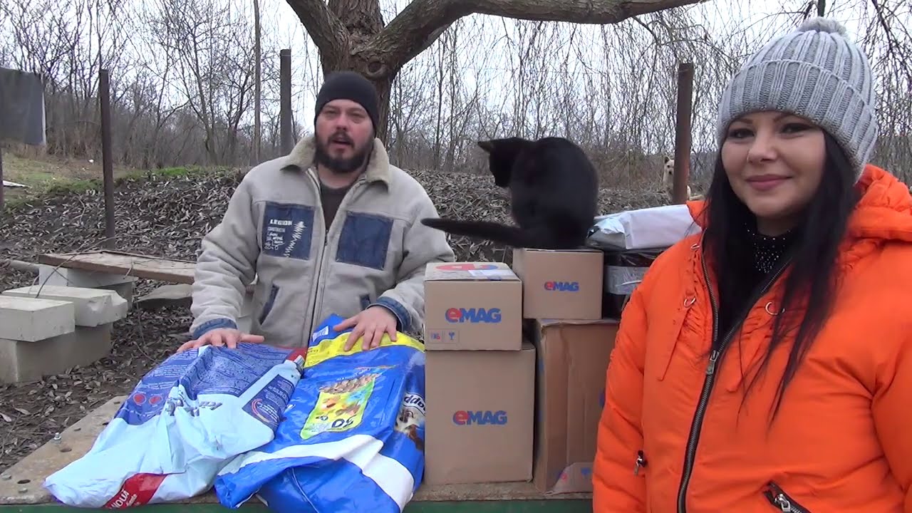 Am primit mancare pentru catelusi si pisicute de la Andrada si Dan din Anglia