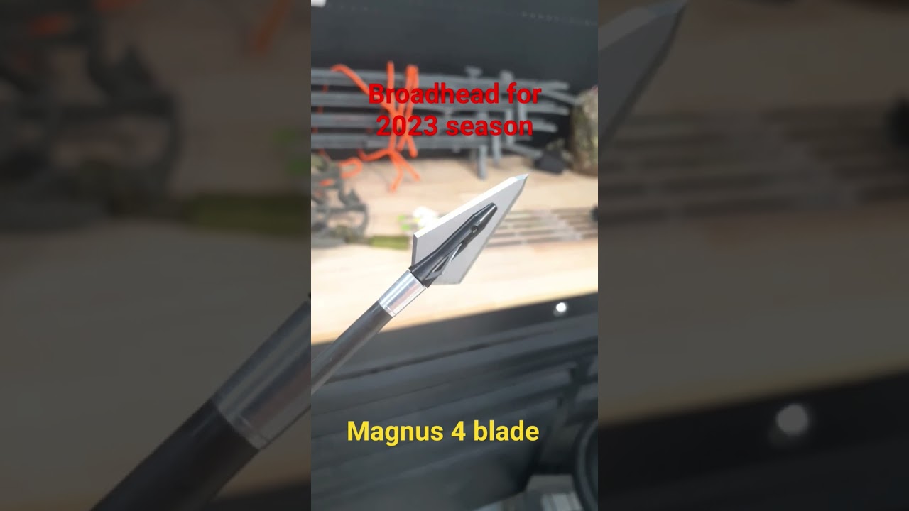 2023 Broadhead choice. Magnus Stinger Killer Bee 4 blade.  #Magnus #bowhunting #bowhunting