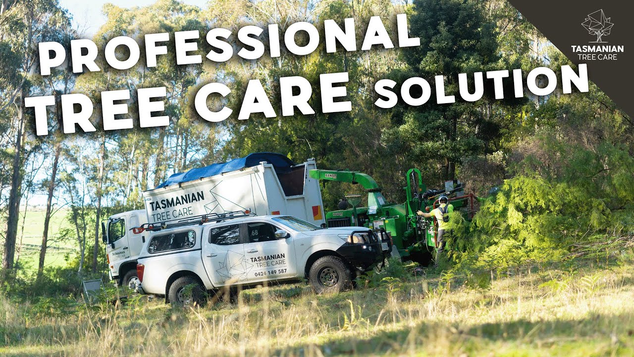Tasmanian Tree Care - Professional tree care solutions