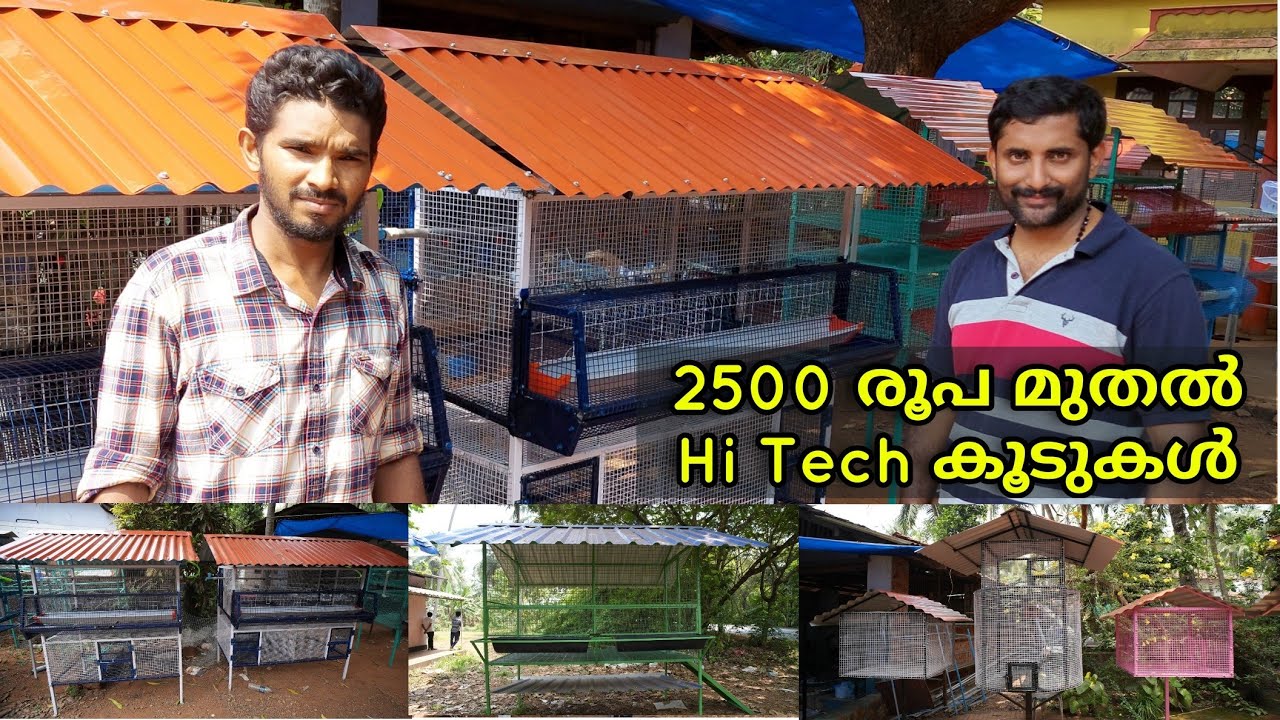 കാട കോഴി ആട് പ്രാവ് കൂടുകൾ വൻ വില കുറവിൽ | Low cost cage's