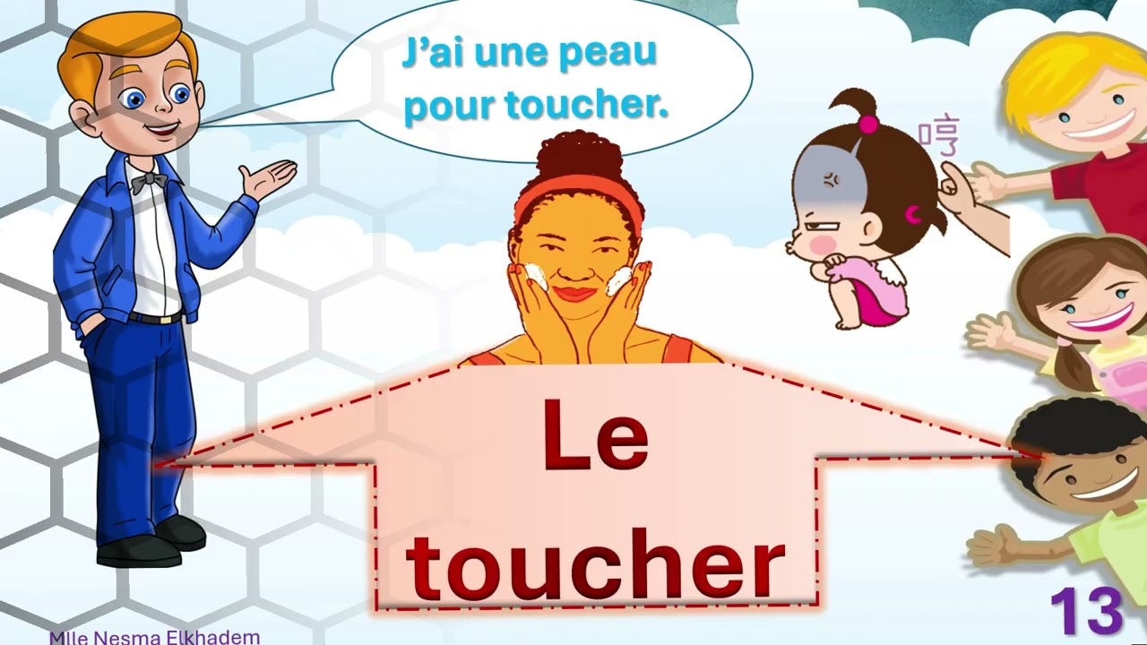 les 5 sens